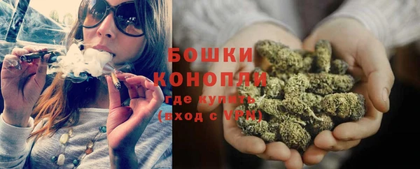 дурь Козельск